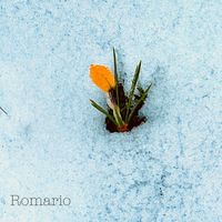 Chips - Romario