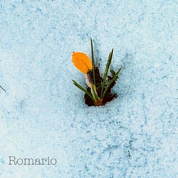 Chips - Romario