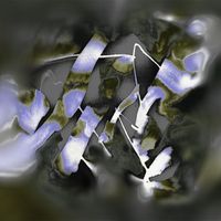 Dave N.A. - Central