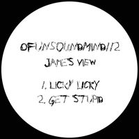 James View - Licky Licky / Get Stupid (Explicit)