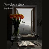 Andy Wilson - Notes from a Room