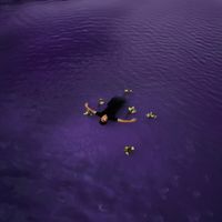 Haris - Violets From Lily (Explicit)
