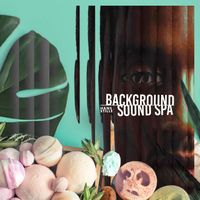 Hans Stille - Background Sound Spa