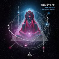 Shivatree - Space Baba (Mercuroid Remix)