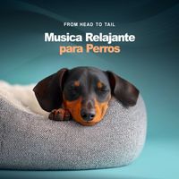 From Head to Tail - Musica Relajante para Perros