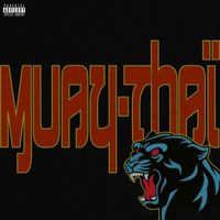 Booba - Muay Thaï (Explicit)