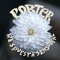 Porter - Respuesta Sensorial