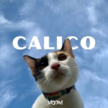 moom - Calico