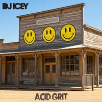 DJ Icey - Acid Grit