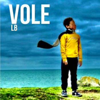 LB - VOLE