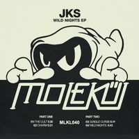 JKS - Wild Nights