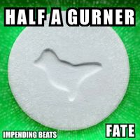 FATE - Half a Gurner
