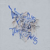 Cortical - Wretched Patterns and Terrible Mistakes