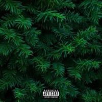 haydn - Evergreen (Explicit)