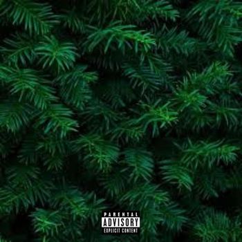 haydn - Evergreen (Explicit)