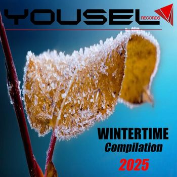 Various Artists - Yousel Wintertime Compilation 2025