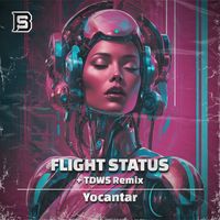Flight Status - Yocantar