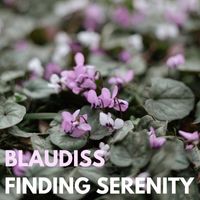 BlauDisS - Finding Serenity