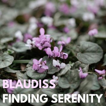 BlauDisS - Finding Serenity