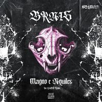 BRAIS - MAGNO E AQUILES