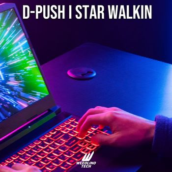 D-Push - Star Walkin