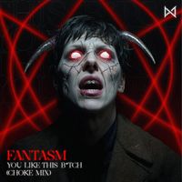 Fantasm - You Like This B*tch (Choke Mix [Explicit])