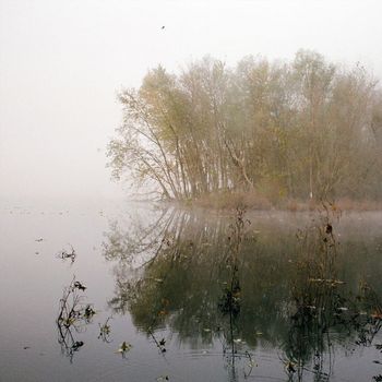 Hoonah - Riverbank
