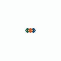 Valley - MAYBE (5 Year Anniversary Edition) (Explicit)