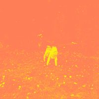Asa - Mulle riittää yks