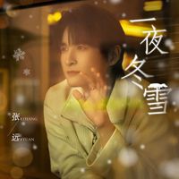 张远 - 一夜冬雪