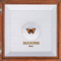 Farma G - How To Kill A Butterfly (Explicit)