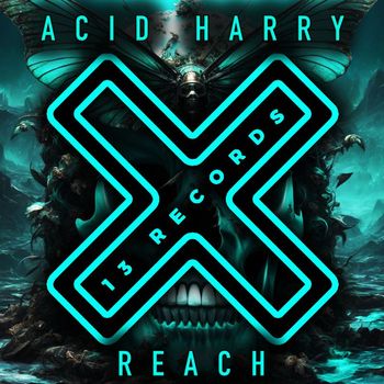 ACID HARRY - Reach