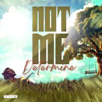 Determine - Not Me (Explicit)