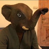 Broad Oak - Alles Wird Gut