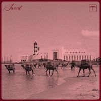 PINTO. - Sweat
