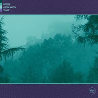Justin Martin - Tears