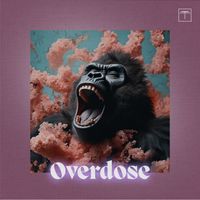 DvirNuns - OverDose
