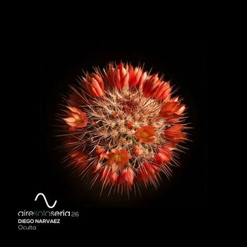 Diego Narvaez - Oculta