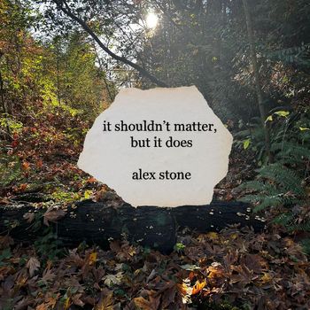 alex stone - it shouldn't matter, but it does (Explicit)