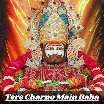 Harry - Tere Charno Main Baba