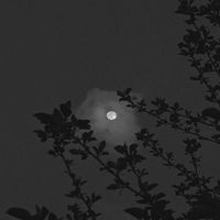 TSUKI - Up Too Late