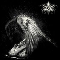 Pure - Art Of Losing One's Own Life