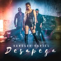 Vanessa Hariel - Desapega