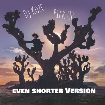 DJ Koze - Pick Up (Even Shorter Version)