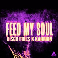 Disco Fries - Feed My Soul