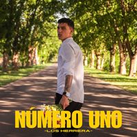 Los Herrera - Número uno