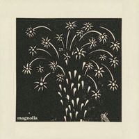 niquo - Magnolia