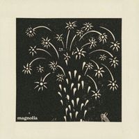 niquo - Magnolia