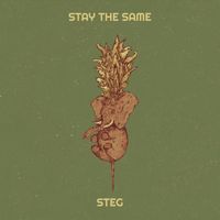 STEG - Stay the Same