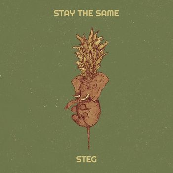 STEG - Stay the Same